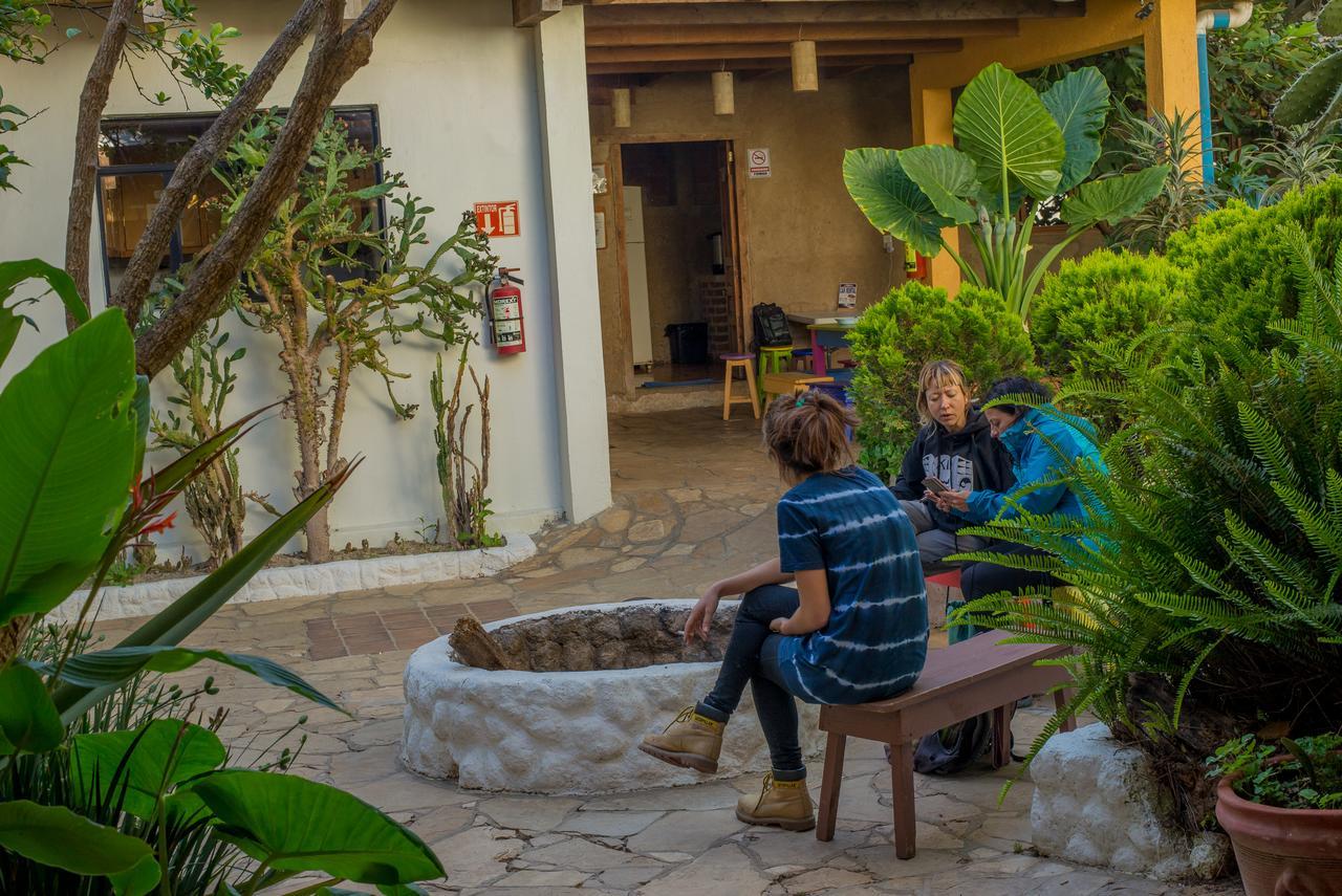 Rossco Hostel San Cristóbal de Las Casas Zewnętrze zdjęcie